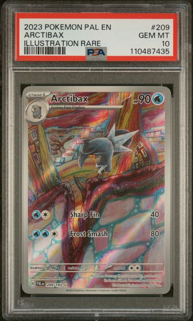 PSA 10 - Paldea Evolved - Arctibax #209