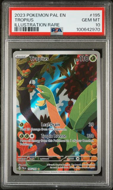 PSA 10 - Paldea Evolved - Tropius #195