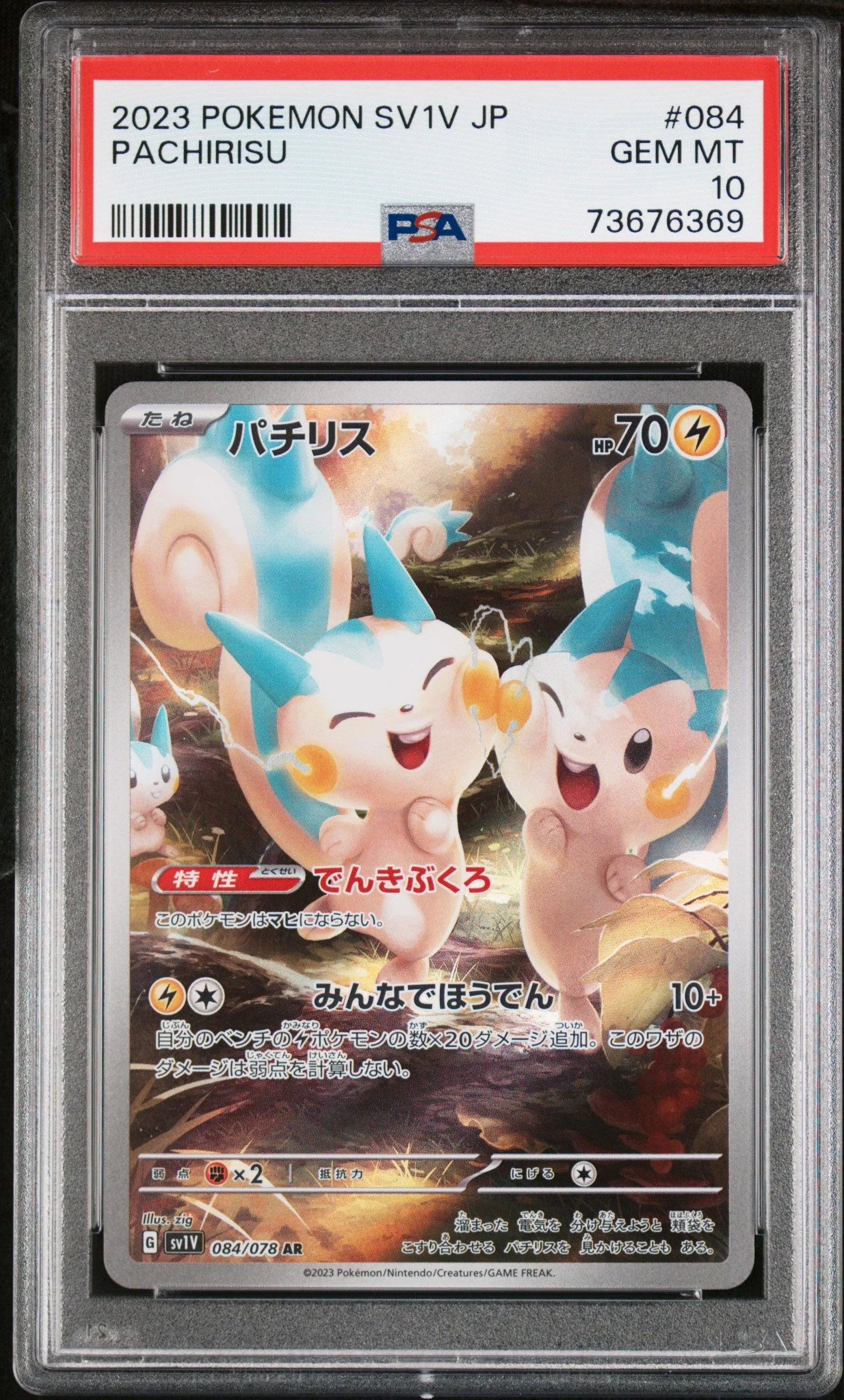 PSA 10 - Violet (Japanese) - Pachirisu #084